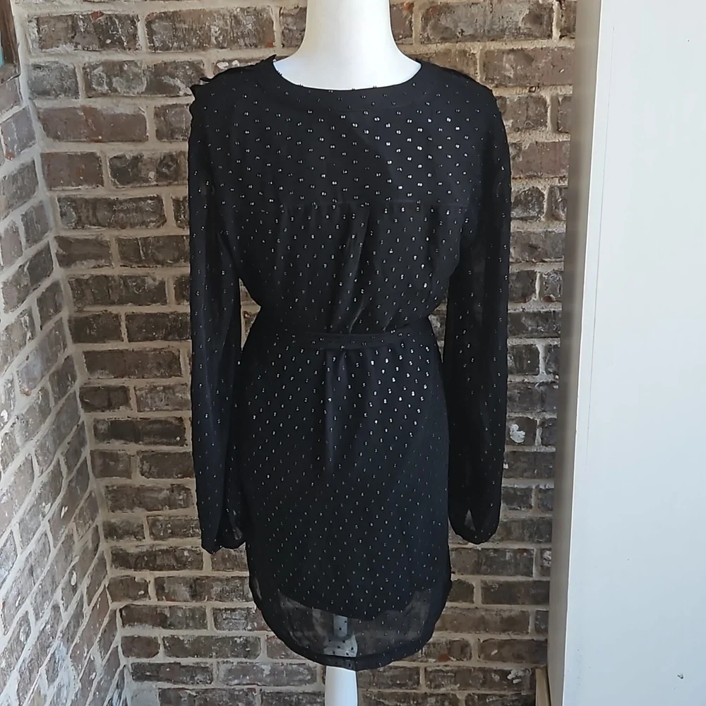 Paige Black Studded Sheer Sleeves Lined Belted Dress - Picture 4 of 5